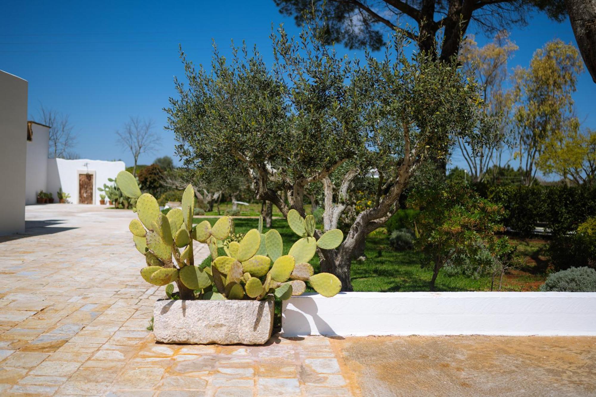 Masseria San Michele Martina Franca Kültér fotó